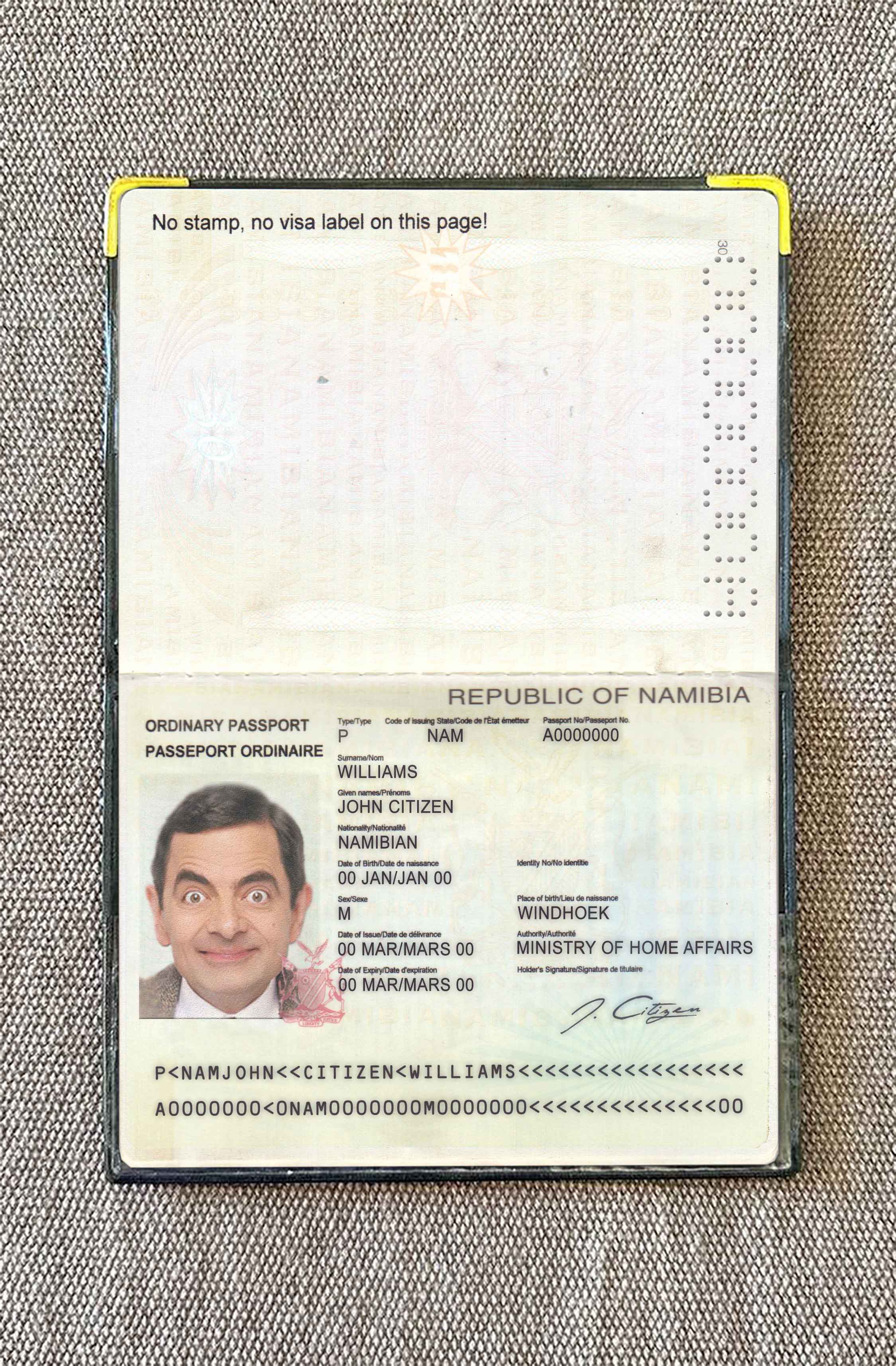 Namibia pass photo look PSD template